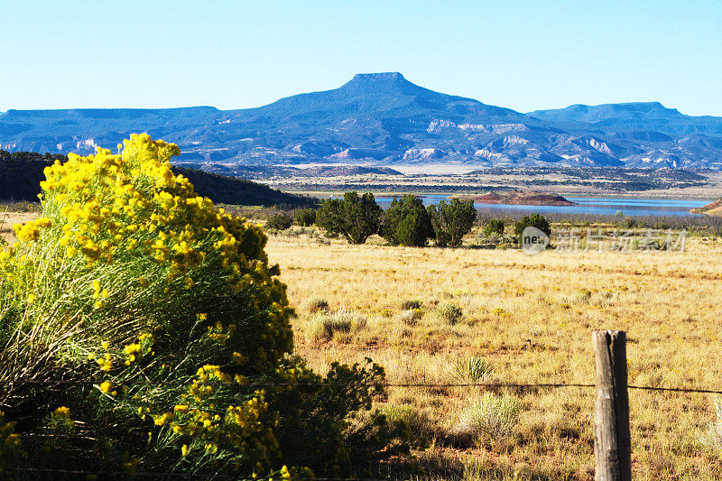 阿比奎，NM: Cerro Pedernal Mesa和Chamisa/Rabbit Brush